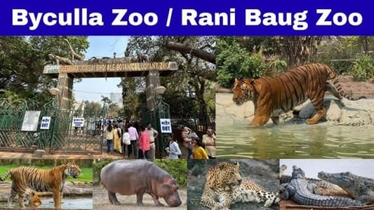 Byculla Zoo Ticket Price 2026