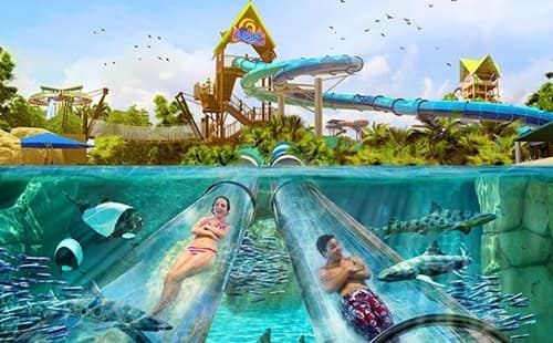 Aquatica Ticket Price 2026 | Eastern India’s Largest Water Park in Kolkata — Entry Fee, Rides & Resort Guide