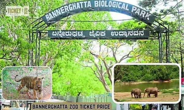 Bannerghatta Zoo Ticket Price 2026 – Charges, Butterfly Park Fee & Complete Visitor Guide